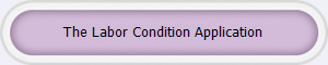 The Labor Condition Application