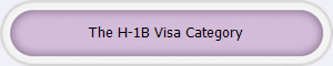The H-1B Visa Category